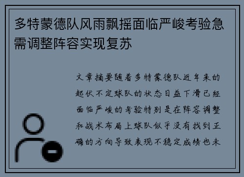 多特蒙德队风雨飘摇面临严峻考验急需调整阵容实现复苏