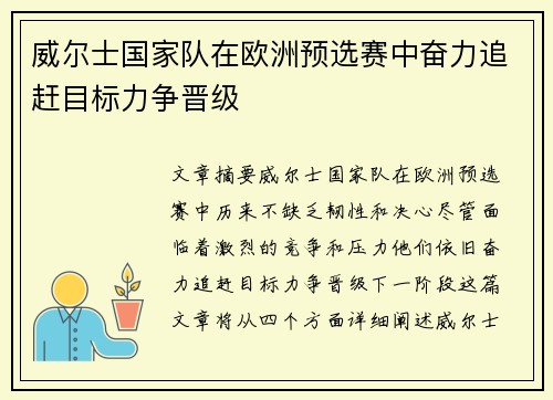 威尔士国家队在欧洲预选赛中奋力追赶目标力争晋级