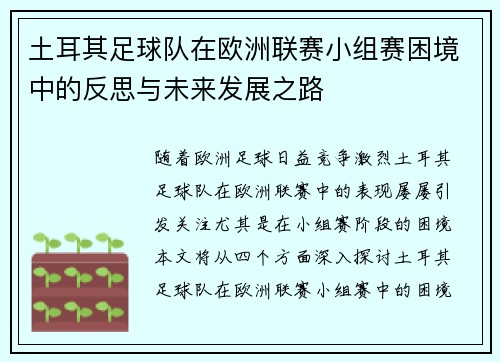 土耳其足球队在欧洲联赛小组赛困境中的反思与未来发展之路