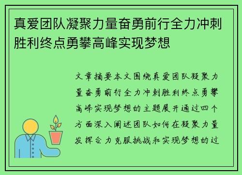 真爱团队凝聚力量奋勇前行全力冲刺胜利终点勇攀高峰实现梦想