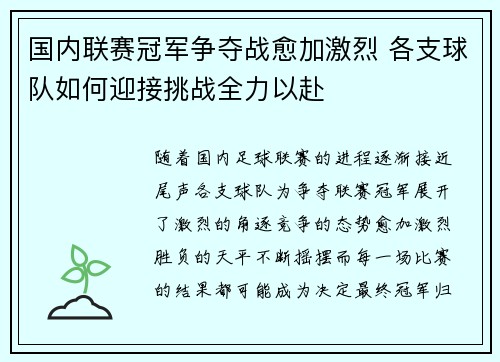 国内联赛冠军争夺战愈加激烈 各支球队如何迎接挑战全力以赴
