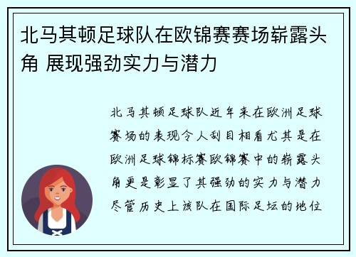 北马其顿足球队在欧锦赛赛场崭露头角 展现强劲实力与潜力