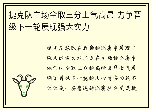 捷克队主场全取三分士气高昂 力争晋级下一轮展现强大实力