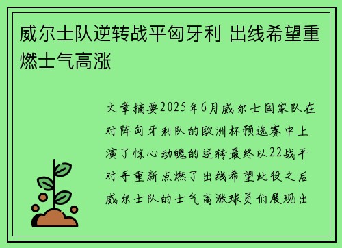 威尔士队逆转战平匈牙利 出线希望重燃士气高涨