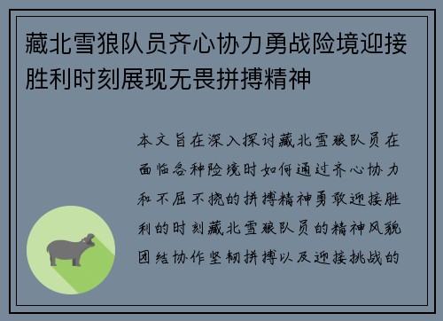 藏北雪狼队员齐心协力勇战险境迎接胜利时刻展现无畏拼搏精神
