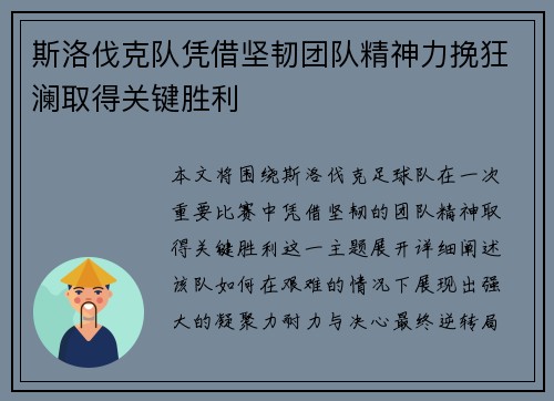斯洛伐克队凭借坚韧团队精神力挽狂澜取得关键胜利